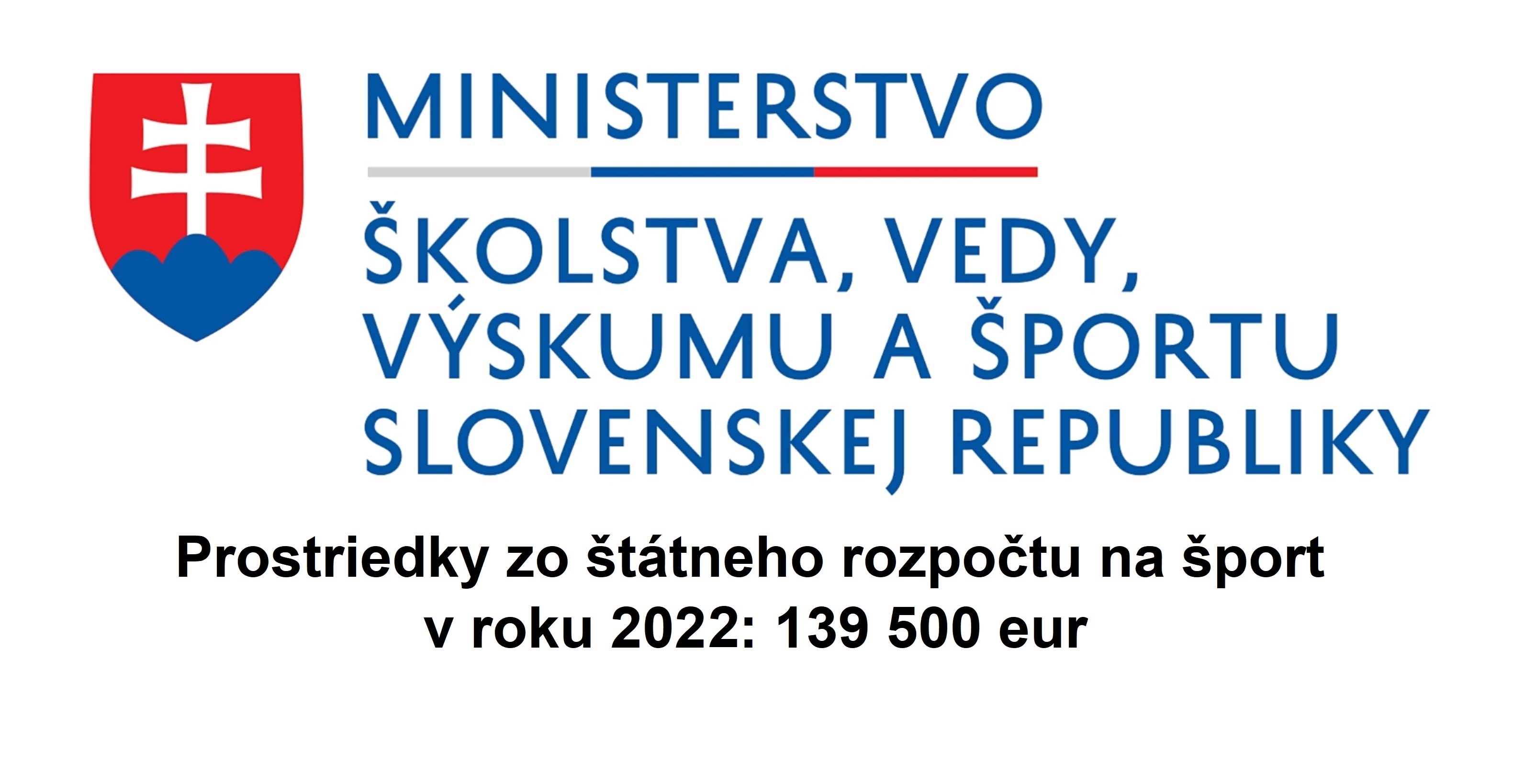 MSVVS_logo_2022